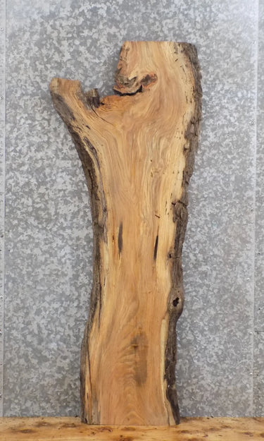 Reclaimed Locust Epoxy Project/Entry/Sofa Table Top Wood Slab 4004